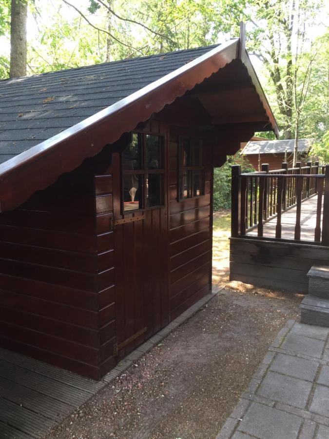 Mijn Chalet Erm 外观 照片